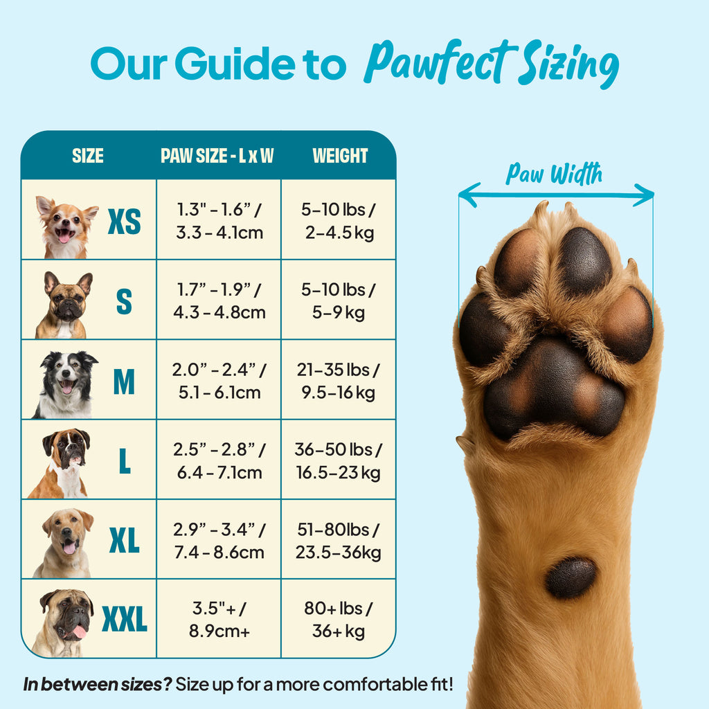 Our Guide to Pawfect Sizing for the Steady Paws Anti-Slip Dog Socks. XS for paw sizes 1.3"-1.6" / 3.3-4.1cm and 5-10lbs/2-4.5kg weight. S for paw sizes 1.7"-1.9" / 4.3-4.8cm and 5-10lbs/5-9kg weight. M for paw sizes 2"-2.4"/5.1-6.1cm and 21-35lbs/9.5-16kg weight. L for 2.5"-2.8"/6.4-7.1cm paw size and 36-50lbs/16-23kg weight. XL for 2.9"-3.4"/7.4-8.6cm paw size and 51-80lbs/23.5-26kg weight. XXL for .5"+8.9cm+ paw size and 80+lbs/36+ kgs. In between sizes? Size up for a more comfortable fit!
