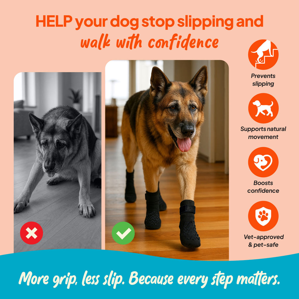 Steady Paws Anti-Slip Dog Socks HELP your dog stop slipping and walk with confidence. Benefits: prevents slipping, supports natural movement, boosts confidence, vet-approved & pet-safe. More grip, less slip. Because every step matters. Pictured is a before and after of an old German Shepard struggling to walk on smooth floors in one photo and walking happily with its tongue out and dog socks on in the second photo.