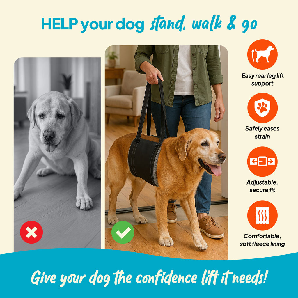 Steady Paws Rear Support Harness – Senior Snouts